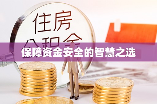 平阳保障资金安全的智慧之选