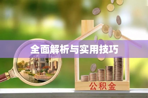 平阳全面解析与实用技巧