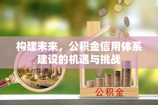 平阳构建未来，公积金信用体系建设的机遇与挑战