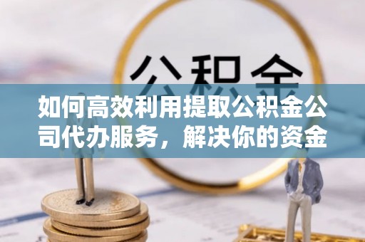 平阳如何高效利用提取公积金公司代办服务，解决你的资金难题