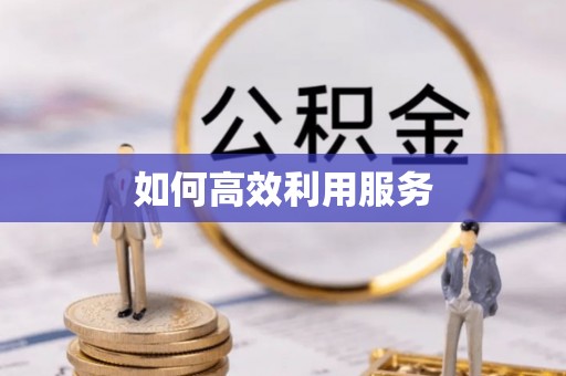 平阳如何高效利用服务