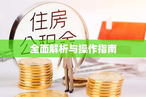 平阳全面解析与操作指南