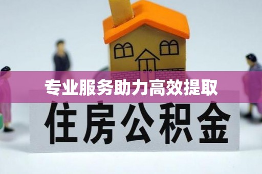 平阳专业服务助力高效提取