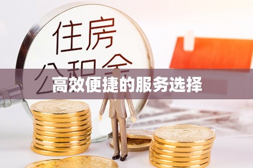平阳高效便捷的服务选择