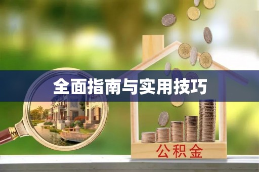平阳全面指南与实用技巧