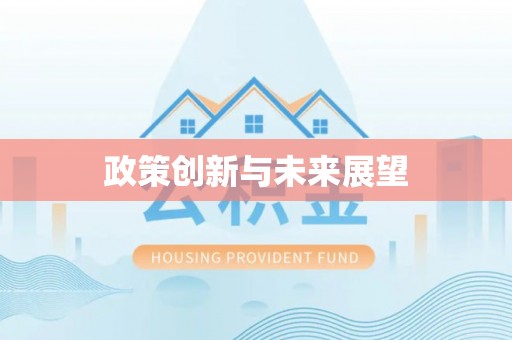 平阳政策创新与未来展望