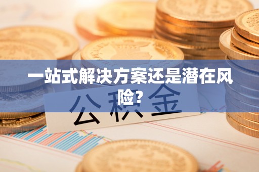 平阳一站式解决方案还是潜在风险？