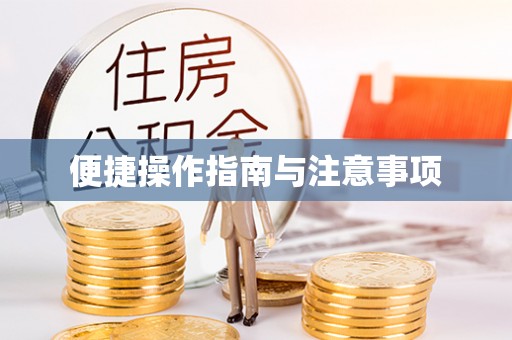 平阳便捷操作指南与注意事项