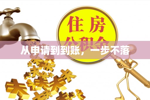 平阳从申请到到账，一步不落
